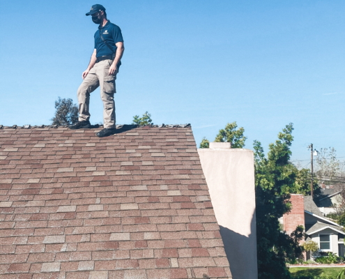 Inspection asphalt shingle roof