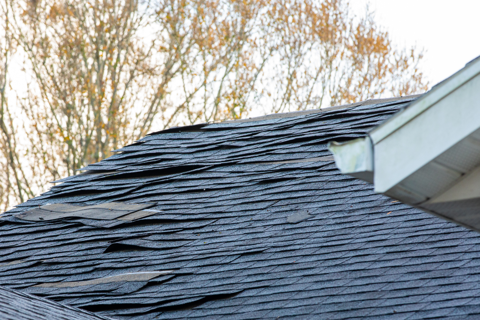 Wind damaged roof